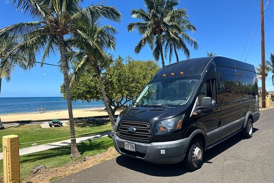 Kona Cruise Ship Excursion Hapuna Beach Day & NHS