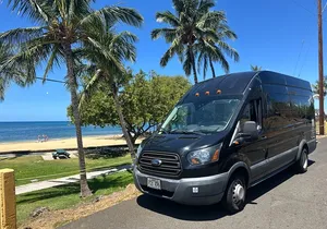 Kona Cruise Ship Excursion Hapuna Beach Day & NHS