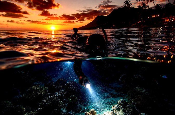 Golden Hour Glow Snorkel: Snorkel With Sea Turtles