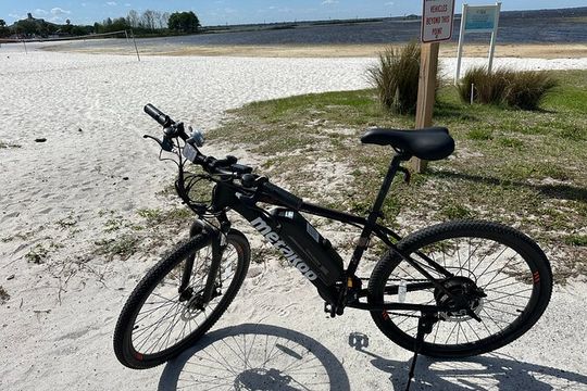 Self Guided Lakefront Tour on Electric Bike in Kissimmee (3 hrs.)