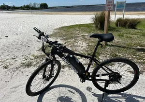 Self Guided Lakefront Tour on Electric Bike in Kissimmee (3 hrs.)