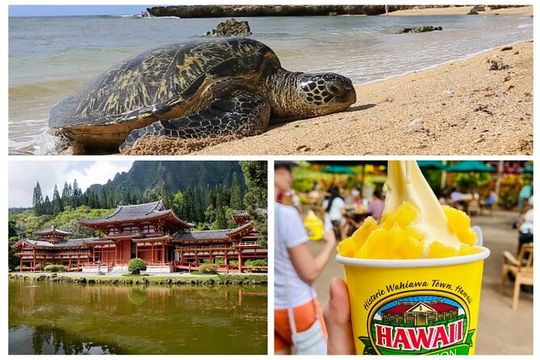 PRIVATE TOUR-Ultimate Circle Island Tour of Oahu