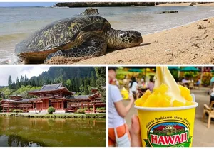 PRIVATE TOUR-Ultimate Circle Island Tour of Oahu