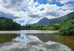 Oahu Fun Circle Island Tour With Pickup