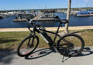 Kissimmee, St. Cloud Self Guided Lakefront Tour on eBike (4 hrs.)