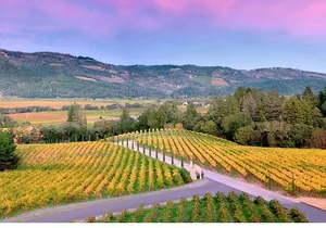 6 Hour Custom Napa or Sonoma Private Wine Tour
