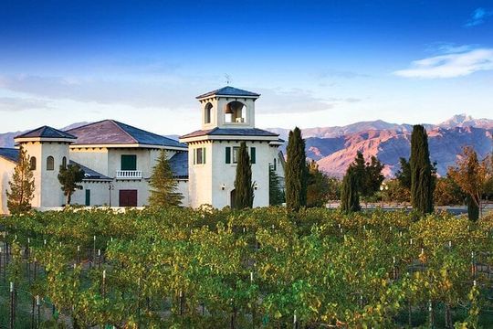 Scenic Wine Tasting Tour from Las Vegas with Food