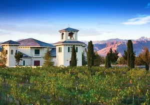 Scenic Wine Tasting Tour from Las Vegas with Food