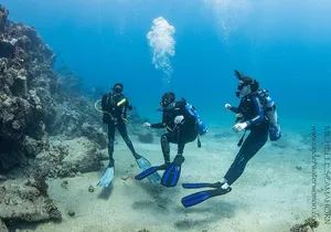 Try Scuba Diving on Kaua’i with Sea Turtles