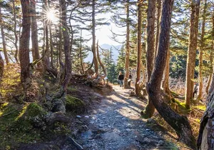 Trails and Ale Tour and Tram Combo