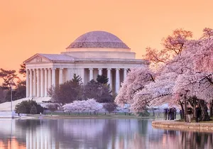 DC Bus Tour + Washington Monument, Air & Space, African American