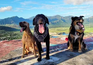 Private West Oahu Adventure Day with Pickup in Ko Olina