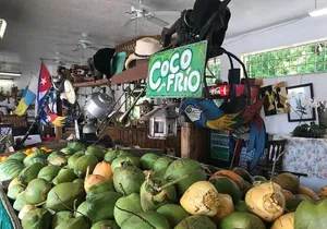 Little Havana French Gourmet Guided Tour