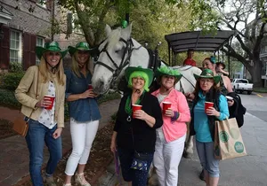 Horse Drawn Daytime Group Narrated Historic Overview Tour