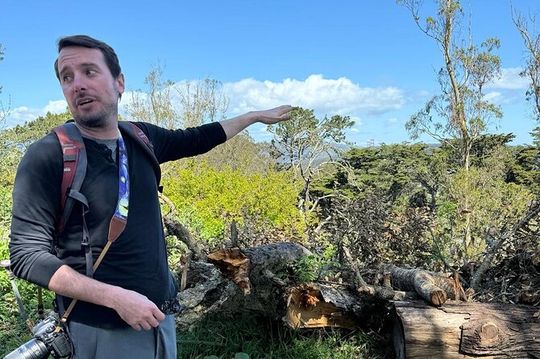 Golden Gate Park Wildlife Walking Tour