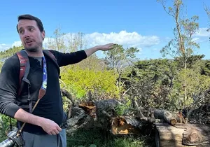 Golden Gate Park Wildlife Walking Tour