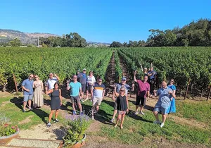 Napa Valley Small-Group Wine Tasting Tour via San Francisco Ferry