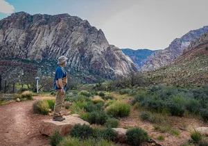 Spring Mountain Ranch Hike with Happy Hour Drinks