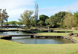 From Big island Hilo Private Shore Excursion and Waterfalls Tour