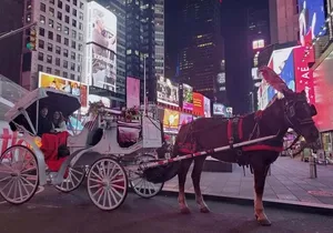 NYC Christmas Light and Rockefeller Center Tour