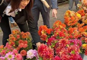 Flower District Tour