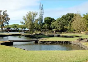 From Big island Hilo Shared Shore Excursion and Waterfalls Tour