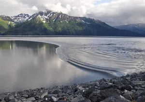 Anchorage to Seward Wildlife Adventure