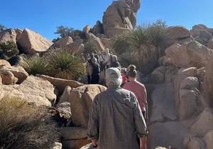 Private Sightseeing Adventure Tour of Joshua Tree National Park