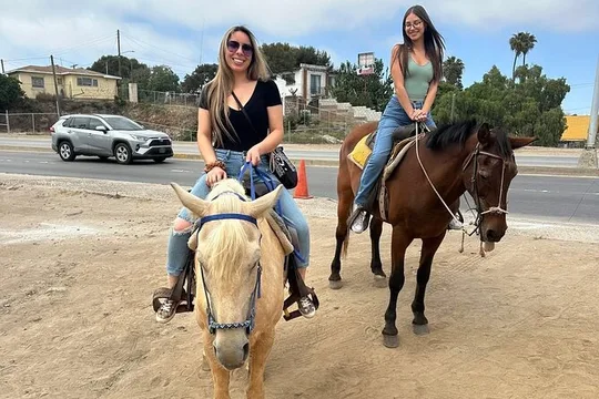 Zip lines/beach horses + Transportation