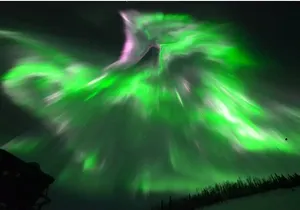 1 Day Shared Tour Arctic Circle and Aurora Viewing in Alaska