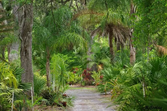 Private Walking Tour to St. John's Botanical Garden