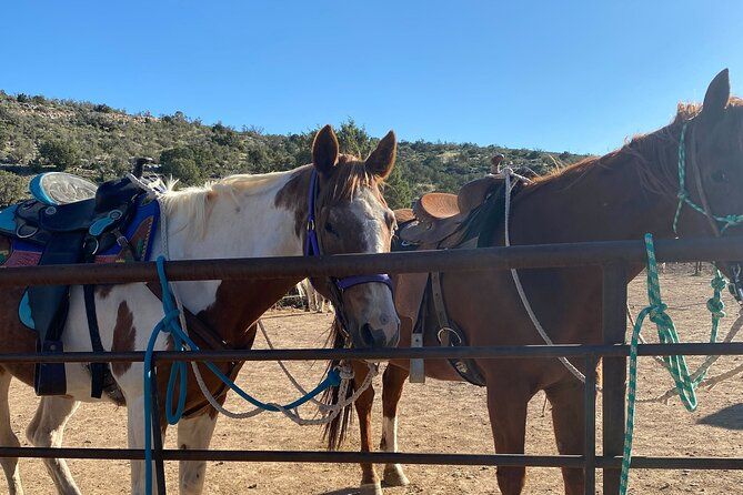 Horseback Ride near the Grand Canyon's West Rim