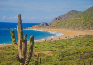 Los Cabos ATV Tour Single Rider