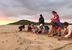 Cabo Turtle Release