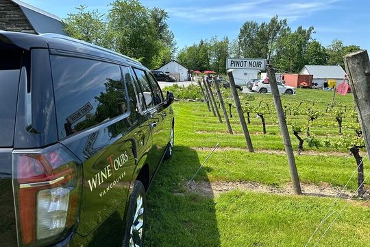 Taste of the Valley Private Wine Tour