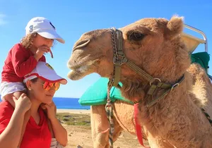 Camel Ride & Encounter at Los Cabos