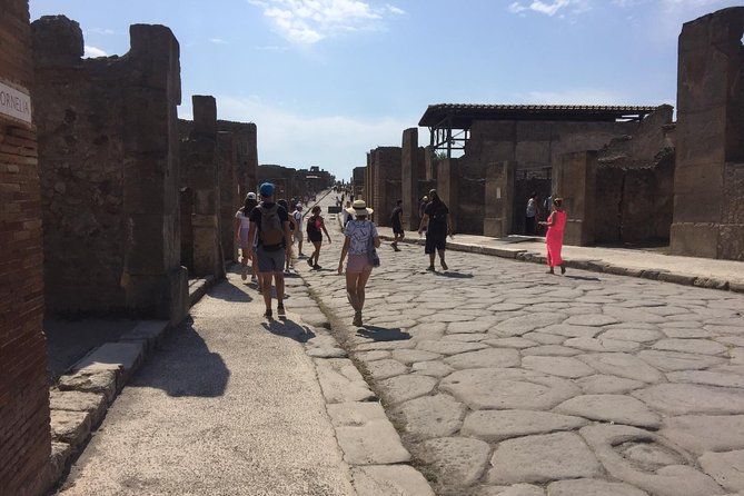 Private Tour: Pompeii Half-Day Trip from Naples
