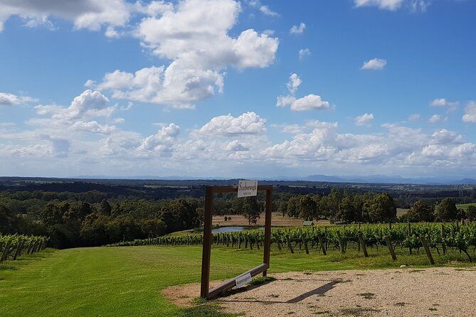 Full Day Private Wine Tour Exclusively Tailored To Suit You