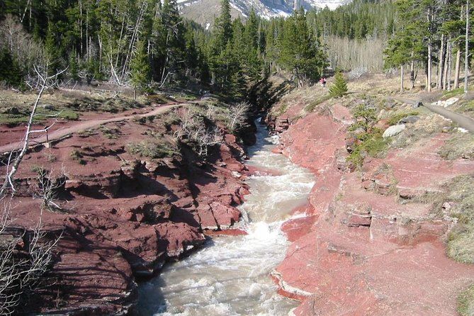 Waterton Lakes National Park Scenic Day Tour from Calgary