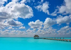 Tour Holbox at Pasion Island & Cenote Yalahau from Cancún