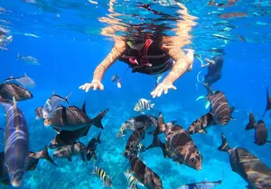 Cozumel El Cielo Reef Snorkel with Round Transportation