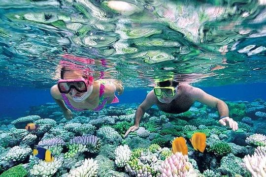 Individual Jungle Tour - Speed Boat at Nichupte Lagoon & Snorkel