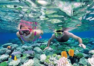 Individual Jungle Tour - Speed Boat at Nichupte Lagoon & Snorkel