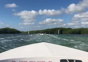 The Best Speedboat Tour In Cancun through Nichupte Lagoon, Snorkel included.