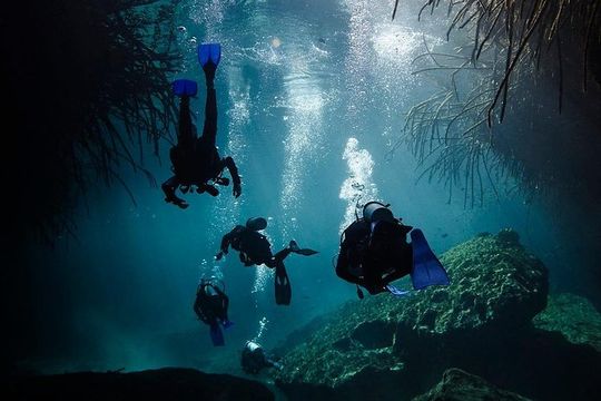2 tanks Cenote Diving Adventure in Tulum for Certified Divers