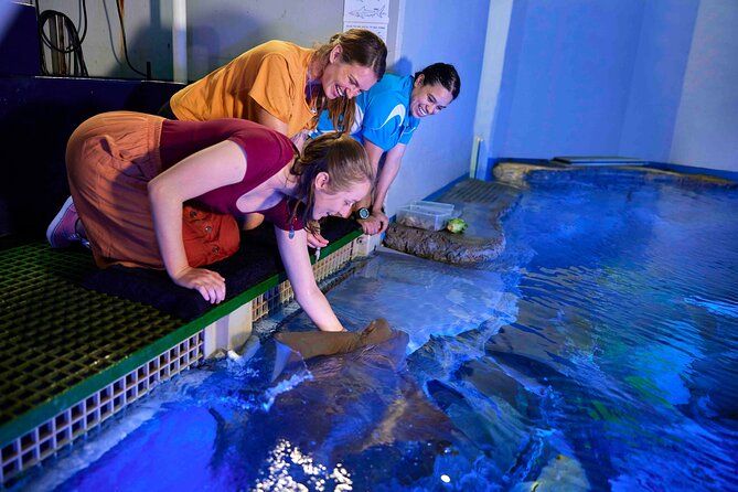 Cairns Aquarium Marine Life Encounter Ticket