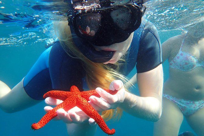 Snorkeling excursion in Isla de Tabarca