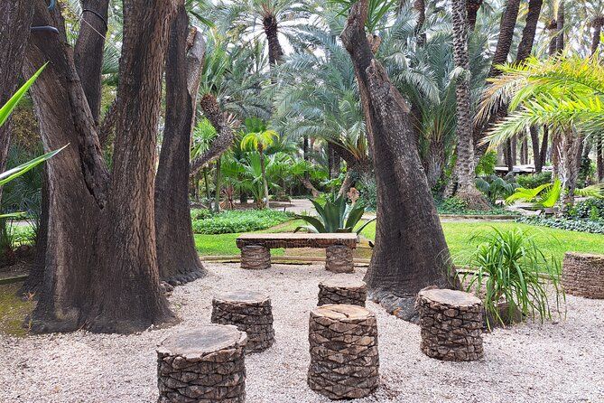 Elche, UNESCO Heritage Sites Small Group Tour