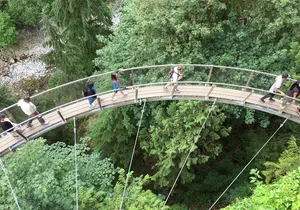 Vancouver City Finest plus North Shore Adventure (Private Tour Full day)