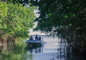 Cancun Mangrove Channel Adventure with Transportation